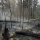A Bulgarian firefighter hoses water onto smoldering tree trunks in a forest in the Noginsk district on Aug. 10, 2010 to prevent resumption of fire.